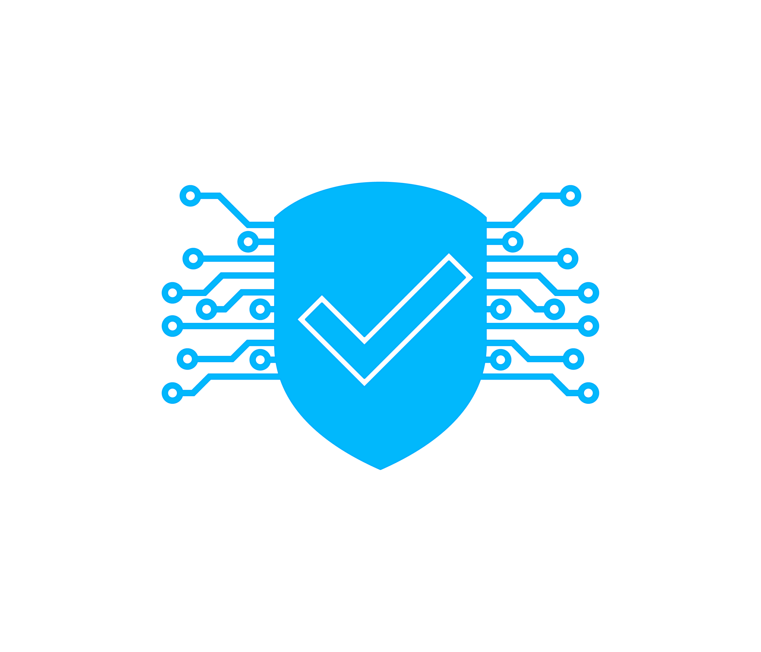 Cyber Security and Information Assurance
